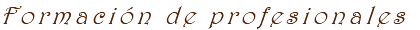Formación de profesionales