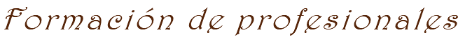 Formación de profesionales